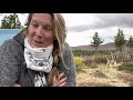 Negativ straff - definisjon og eksempler