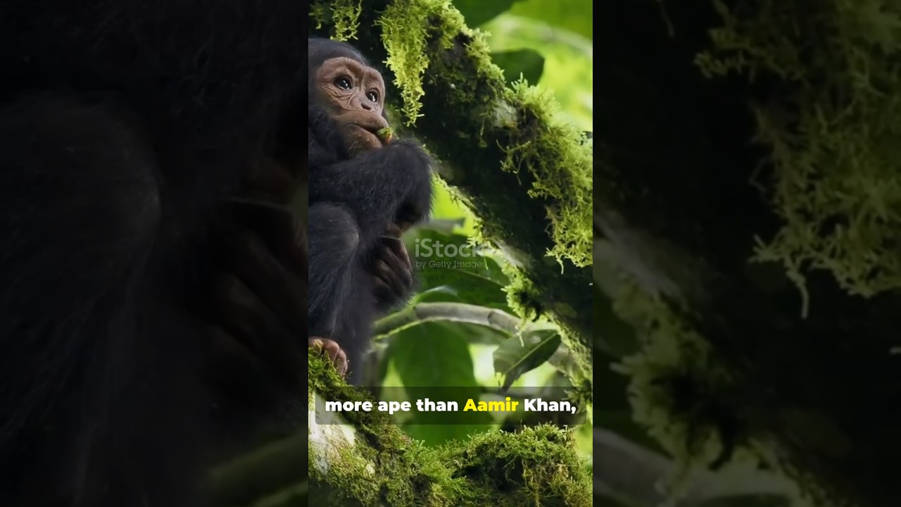 Science Behind Human Evolution- (Moongizh) 