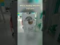 High-Efficiency Corn Peeler Machine - Best for Maize Flour Mill