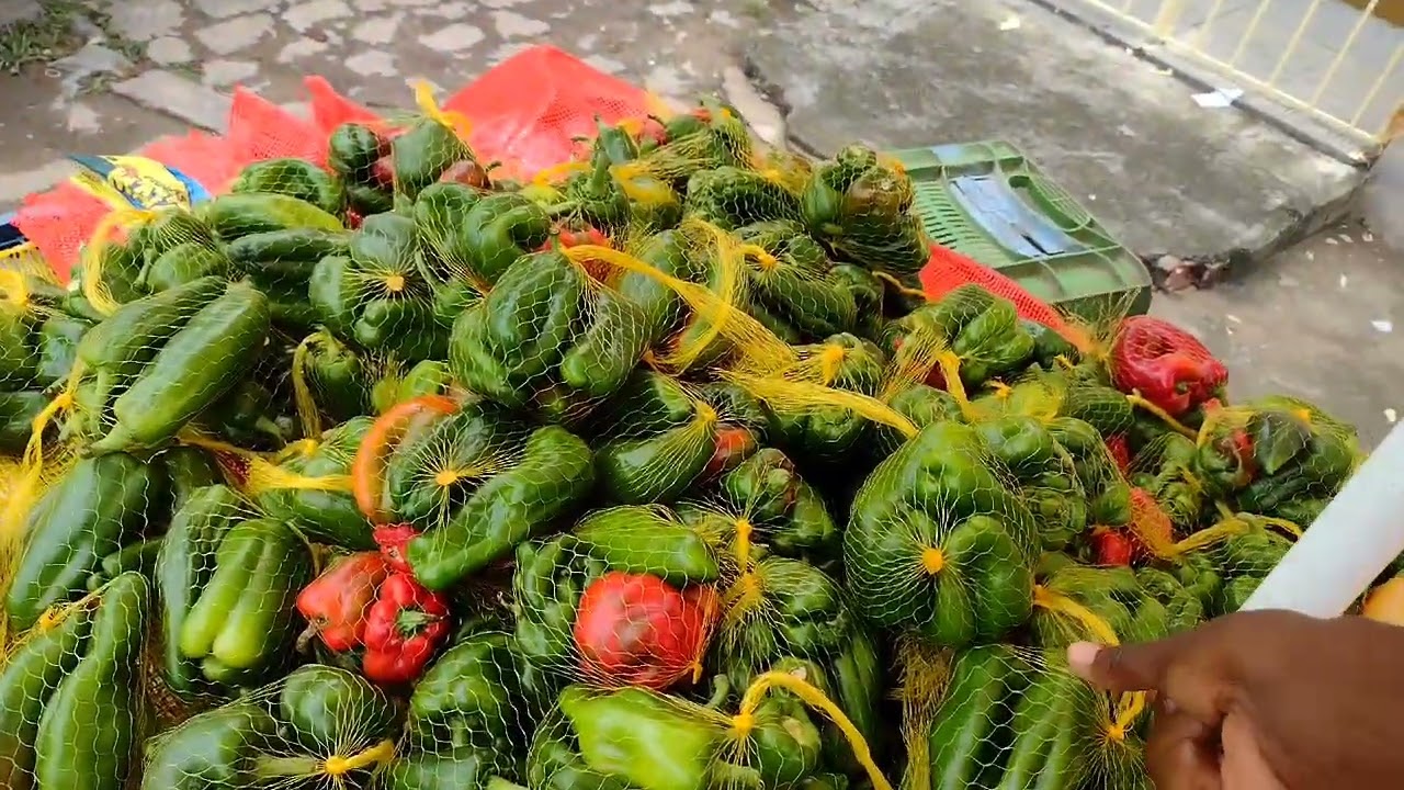 FEIRA DE CORAÇÃO DE MARIA