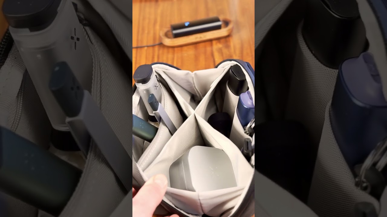 PAX Leather Smell Proof Case & Bag