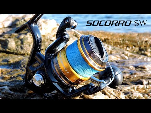 Shimano Socorro SW 