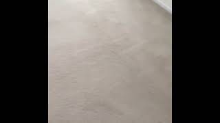 Professional Carpet Cleaning in Virginia Beach