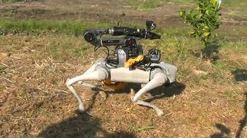 岡山大学に設立されたベンチャー企業が開発　四足歩行ロボットでレモン畑で収穫などの自動化目指す【岡山】