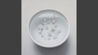 Download Lagu Cereal Bowl Milk