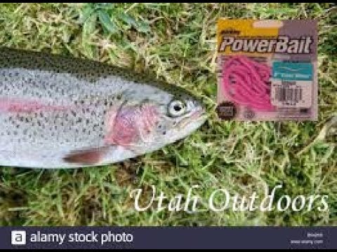 INSANELY FAST AND EASY! Trout Fishing with pink worms