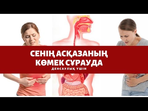 Бейне: Иттердегі асқазан және ішек жаралары