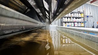 We soaked DIRTY rugs in our wash tub and the water turned into MUD!