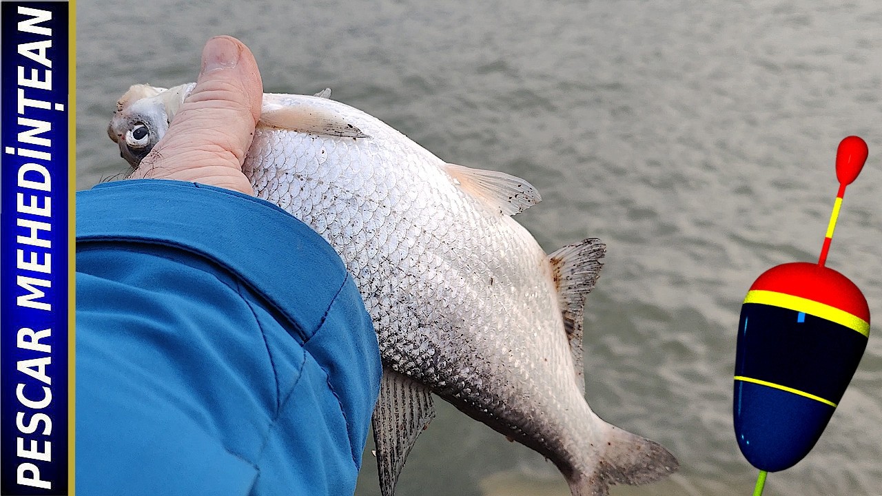 Pescuit pe  Dunăre la Vodița. 4/MAR/2026