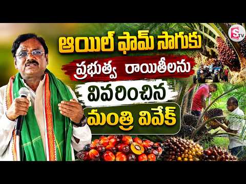 ఆయిల్ ఫామ్ సాగుకు బంపర్ బెనిఫిట్స్..| Minister Vivek Explains Benefits for Oil Palm Farmers