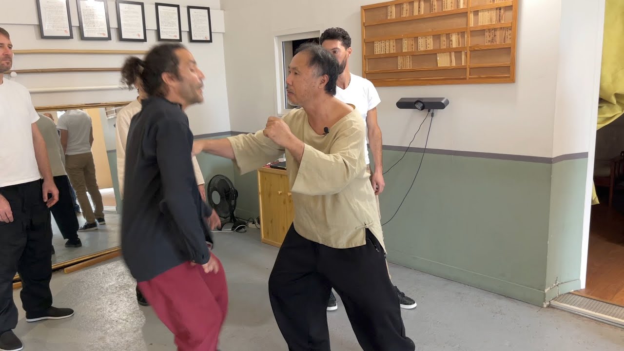 Extrait du stage de Taichi Chuan octobre 2022 - Arts martiaux internes à Bordeaux