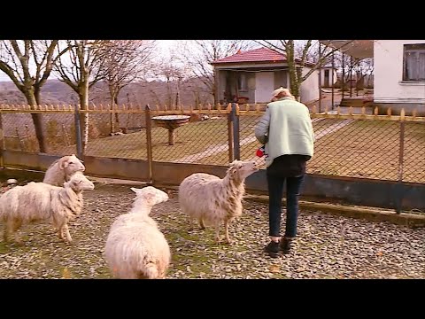 ის, რასაც მთელი წელი ელოდებოდით | \"მთავარი არხის\" 2023 წლის კურიოზები