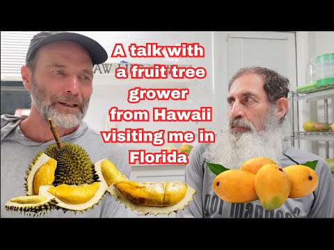 A talk with a Fruit Tree Grower from Hawaii