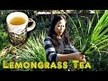 Easy Homemade Lemongrass Tea Recipe