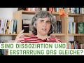 Sind Dissoziation und Erstarrung das Gleiche?