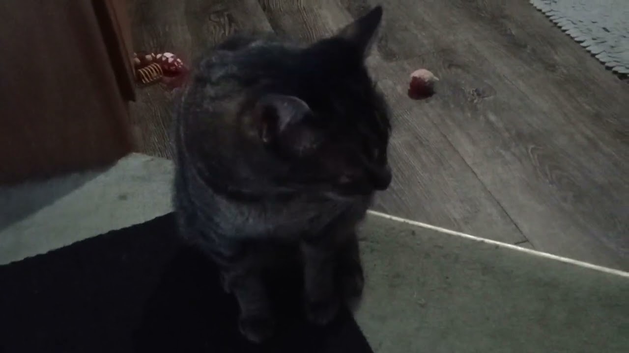 Breakfast time. Good Morning 