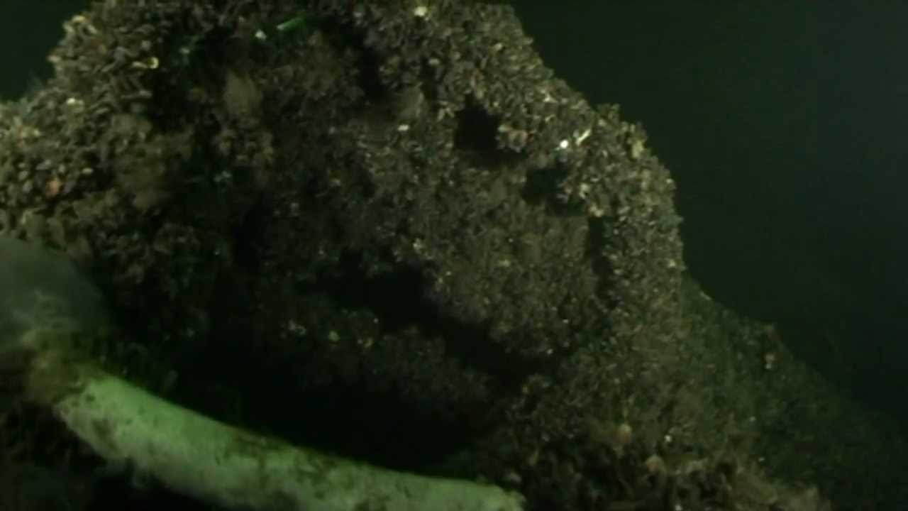 Whiskey - Bornholm 2011