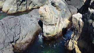 Gooseberry Cove, 2022