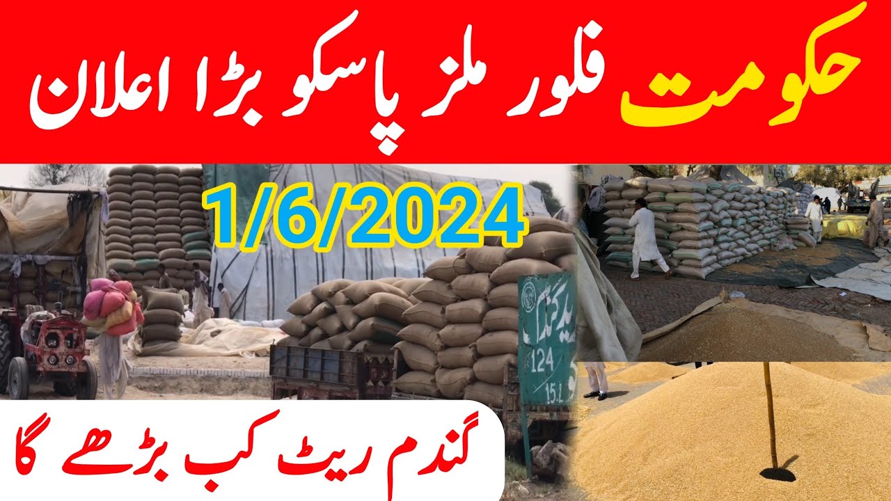 Wheat rate insurance new update pakistan
