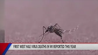 West Nile Virus has hospitalized 3 people in Wisconsin thumbnail