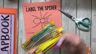Bats and Spiders Lapbook: Label the Spider