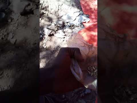 Afar Konaba Efisa Mountain Gold 23 Grams