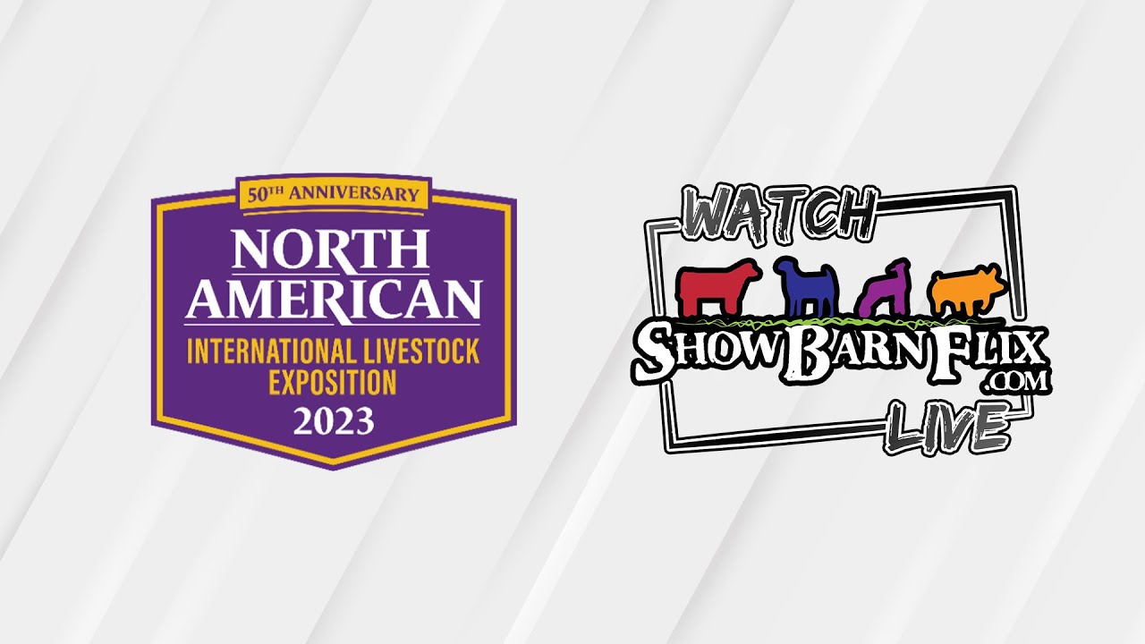 Jr. Market Steer Show - NAILE 2023 - YouTube