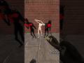 3 SCP O96 CHASES ME IN MAZE #shorts | TronG