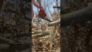 How to Prevent a Chainsaw from Getting Pinched