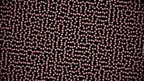 Pink-Yellow Dots Square Motion Stock Motion Graphics