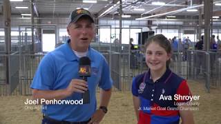 2018 Ohio State Fair Grand Champion Market Goat – Ava Shroyer, Logan County