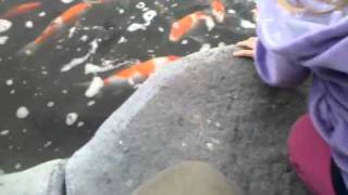 Fish @ cape escape adventure golf