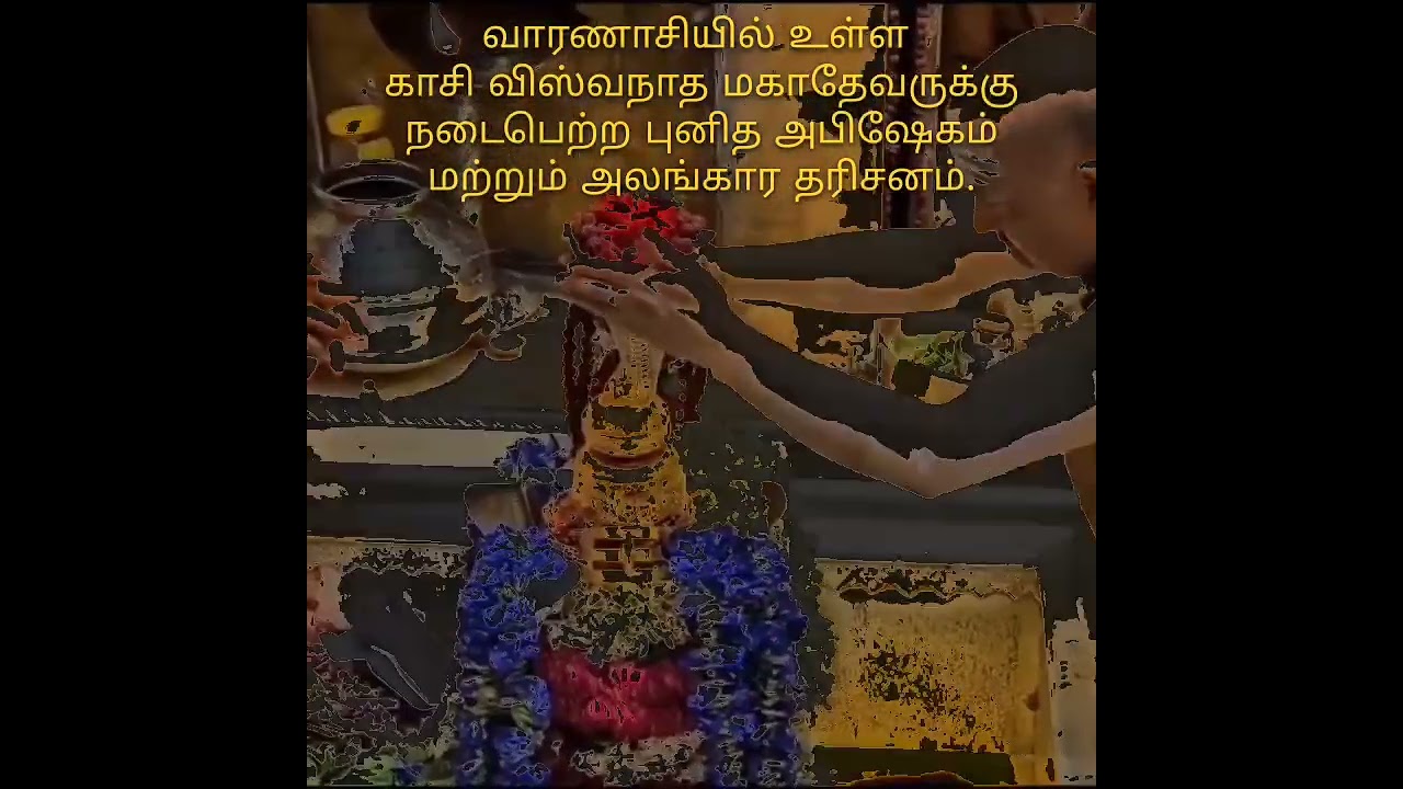 வாரணாசி காசி விஸ்வநாத மகாதேவரின் புனித அபிஷேகம் மற்றும் தெய்வீக அலங்கார தரிசனம் ✨🕉️ || V Rajan #new