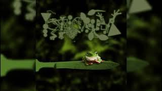 Phyllomedusa - Pulverize That Hoe (HQ Audio)