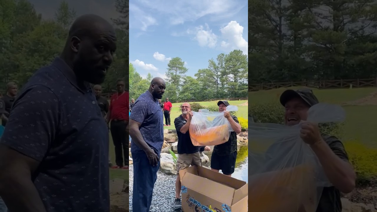 Shakoi O’Neal or Charles Barkley??? 