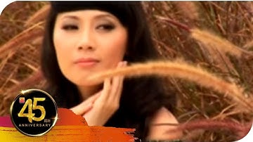 曾琳 ZENG LIN I 诉不尽的情意 I OFFICIAL MUSIC VIDEO