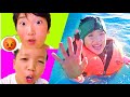 みんなで協力してみのちゃんを助けてあげよう！海での友情物語