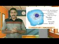 Online Class @ LTVision, by Learning Teachers Kerala... Basic Science  Std 6.   Unit 1.   Class - 4