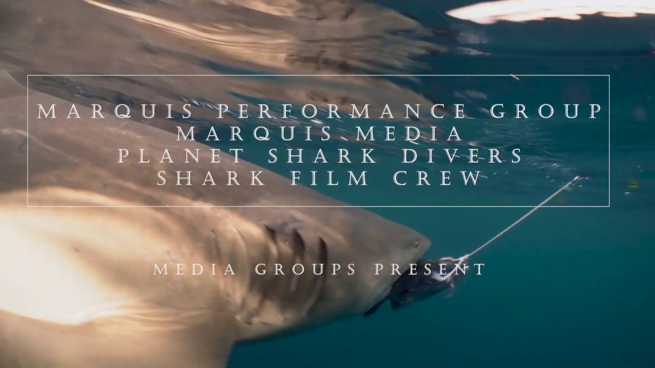 DEMO REEL 2019-2020 short version