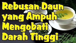 Rebusan Daun untuk Mengobati Darah Tinggi