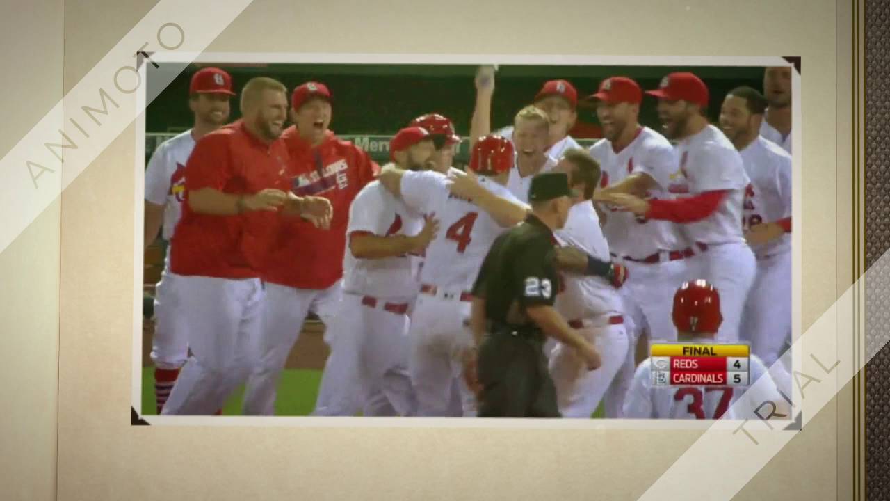 St Louis Cardinals 2016 August Highlights 720p 1 - YouTube
