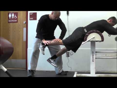 SL Manual Isometric Reverse Hyper