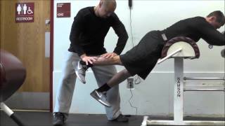 SL Manual Isometric Reverse Hyper