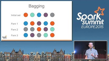 Sparkling Random Ferns: From an Academic Paper to spark-packages.org