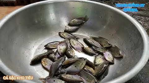 CÁ SẶC KHO TIÊU | MÓN NGON NHÀ LÀM | TRANG HUỲNH NT OFFICIAL