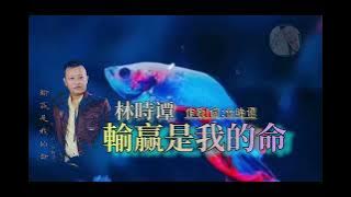 林時谭 《 輸赢是我的命 | su yia si gua eh mia 》作歌|词 :林時谭