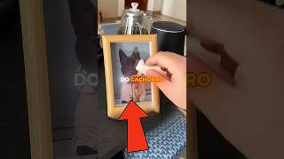 O VULTO NO CORREDOR ERA O QUE ELE MAIS DESEJAVA REENCONTR...