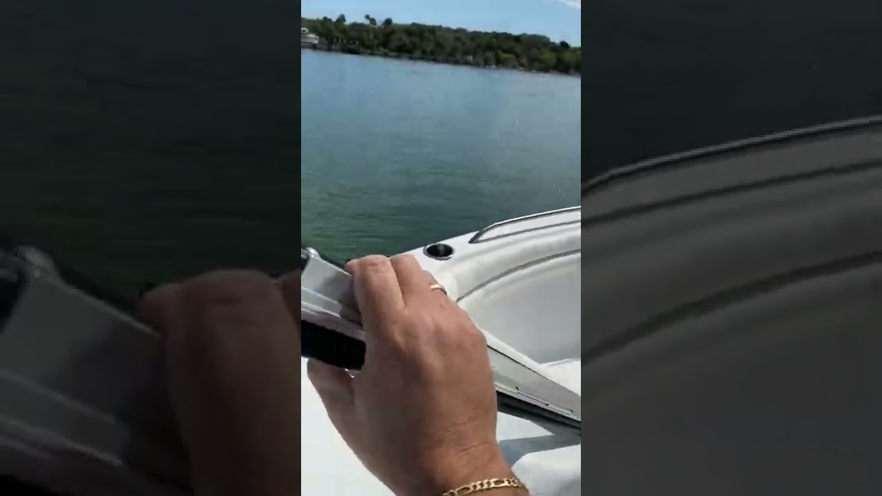 2010 Sea Fox 216 Dc 4 Stroke with 2010 150 HP Suzuki Engine 29,500