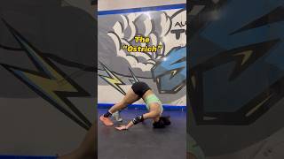 So Many Great Options