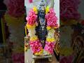 Tuesday Poojai Vlog | Positive vibes | Uruli decoration #poojai #tuesdaypoojai #murugan